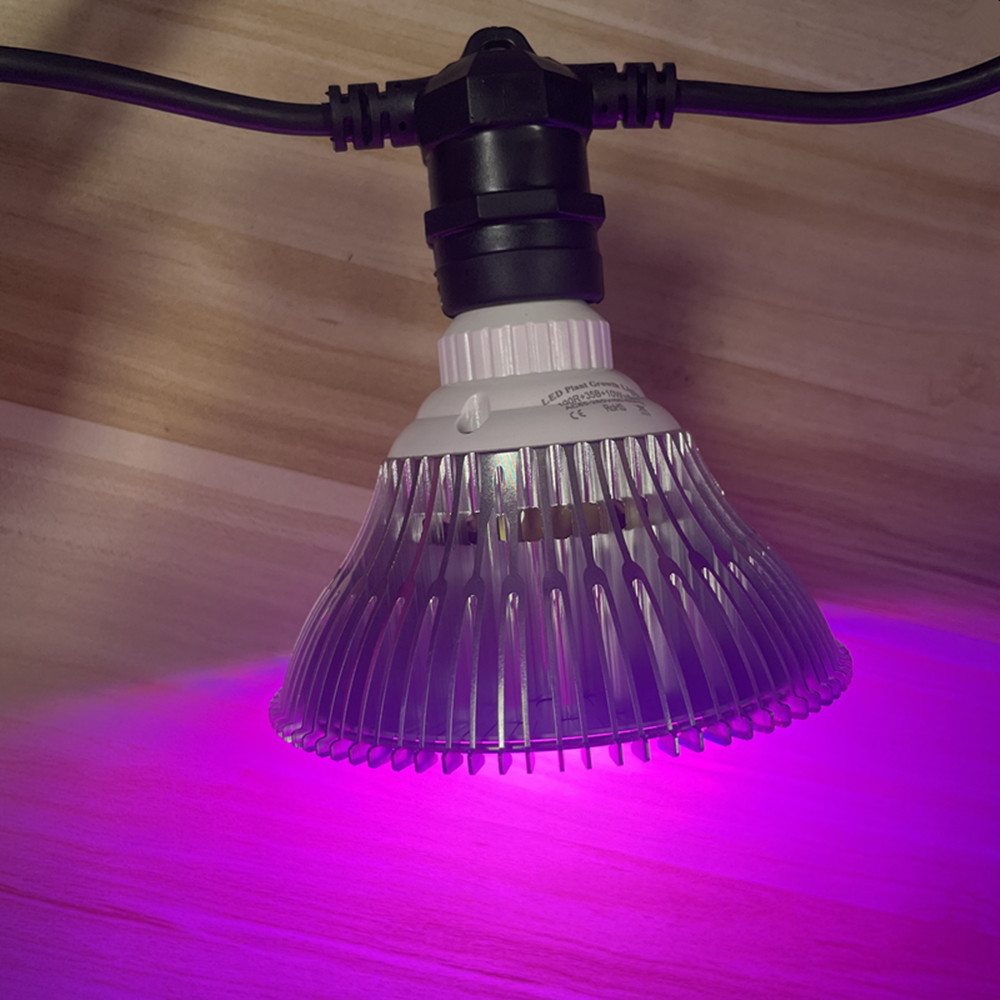 Cadena de luces LED de 10M, re - Outdoor Lighting Gazebo reseña y precio